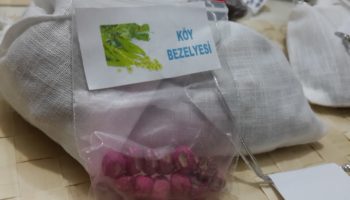 20151215_220720-min 20151215_220720-min