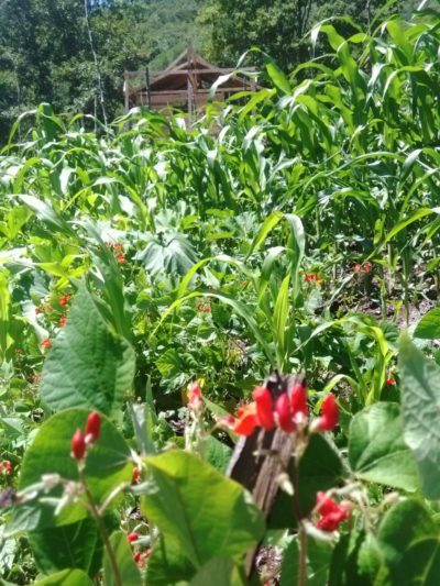 66227-576x1024 66227-576x1024